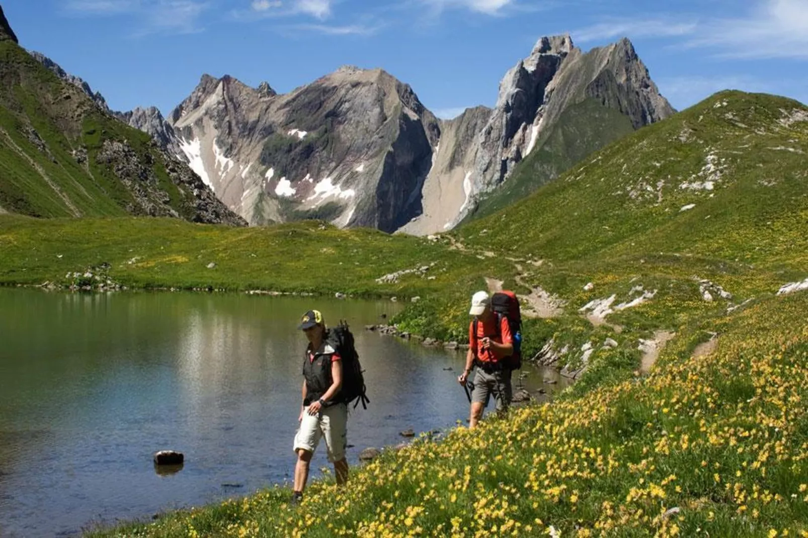 Haus Schedler - Wiesenblick-Gebieden zomer 5km