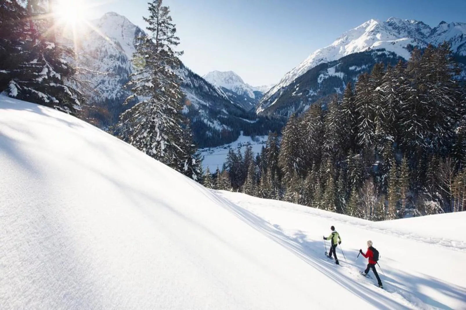 Haus Schedler - Wiesenblick-Gebied winter 5km
