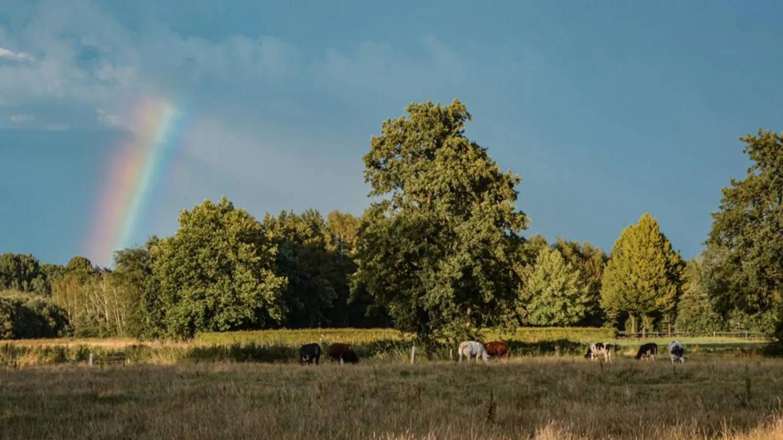 Uilenhof-Uitzicht zomer