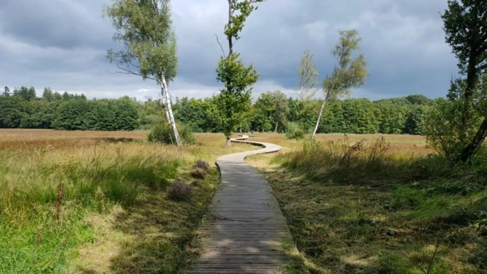 Uilenhof-Gebieden zomer 1km