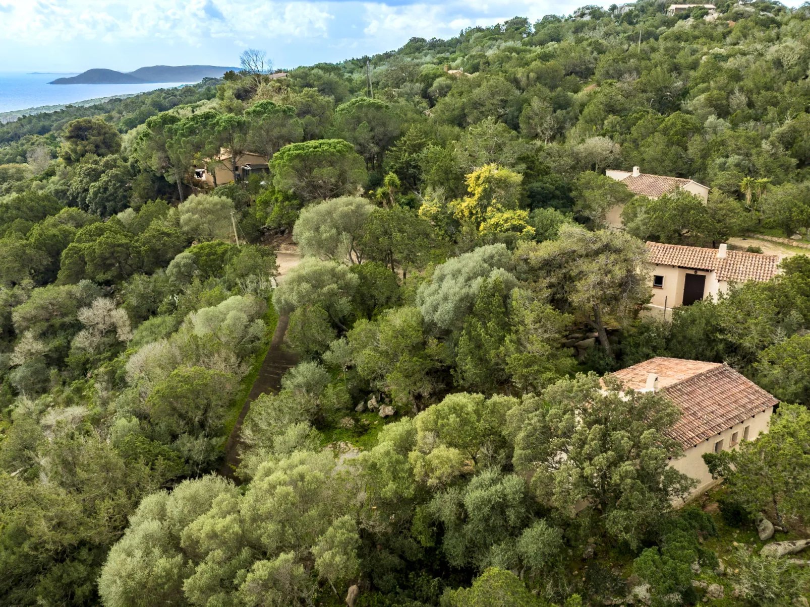 Casa Rondinara-Buiten