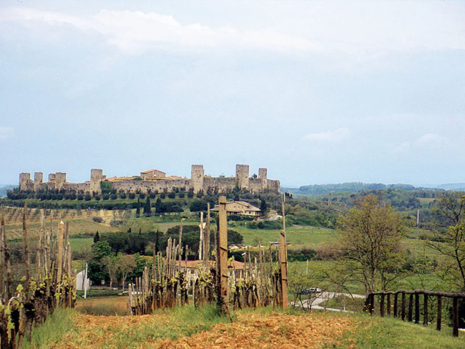 Fattoria Petraglia - Terrazza-Omgeving