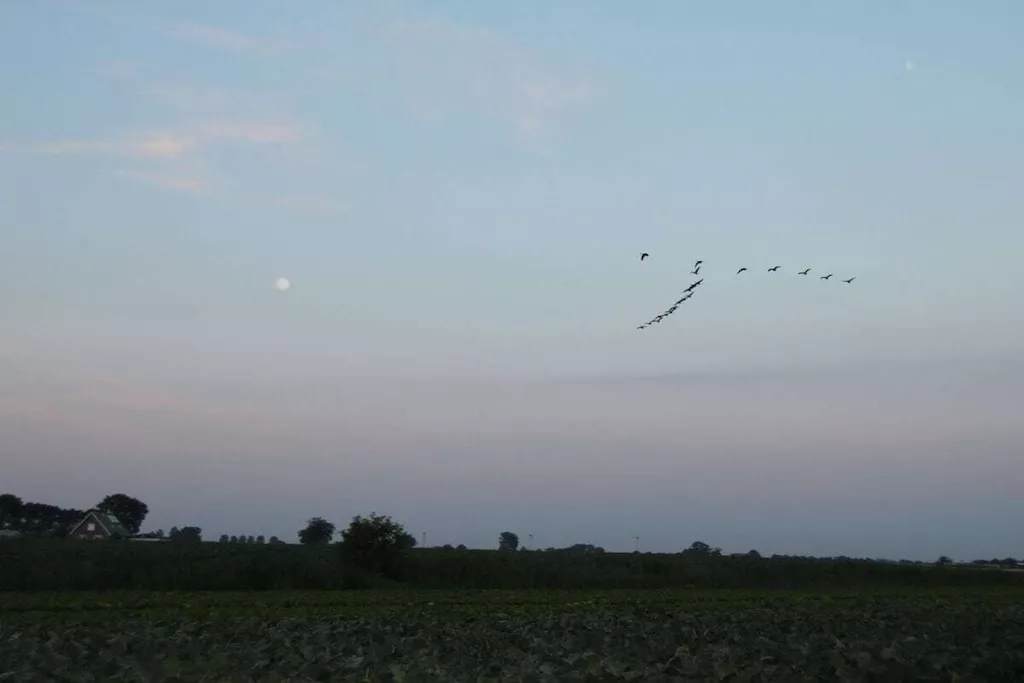 122091-Niet-getagd