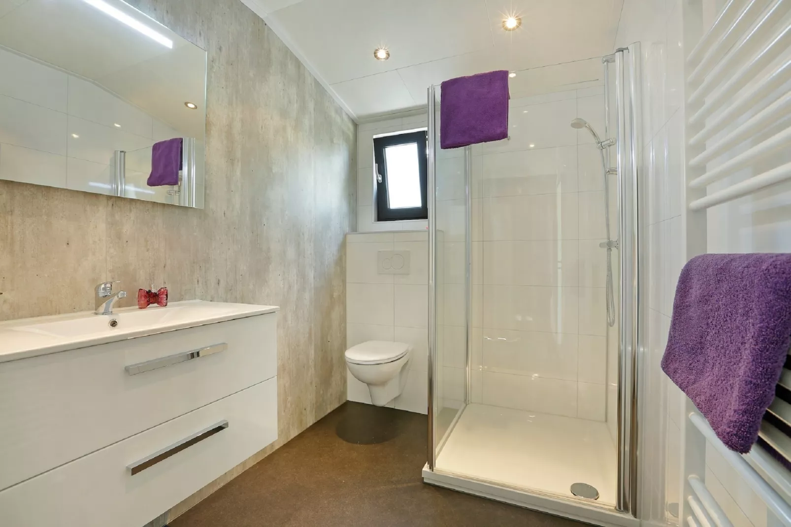 Vakantiepark De Lochemse Berg 1-Badkamer
