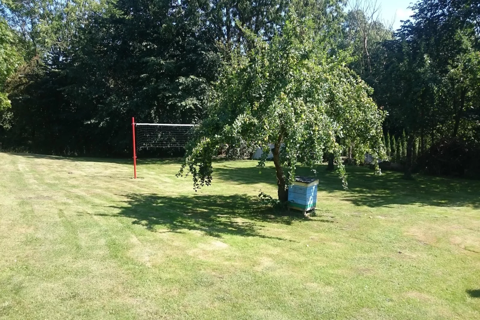 Semi-detached house Ledzin FH Amelia-Tuinen zomer