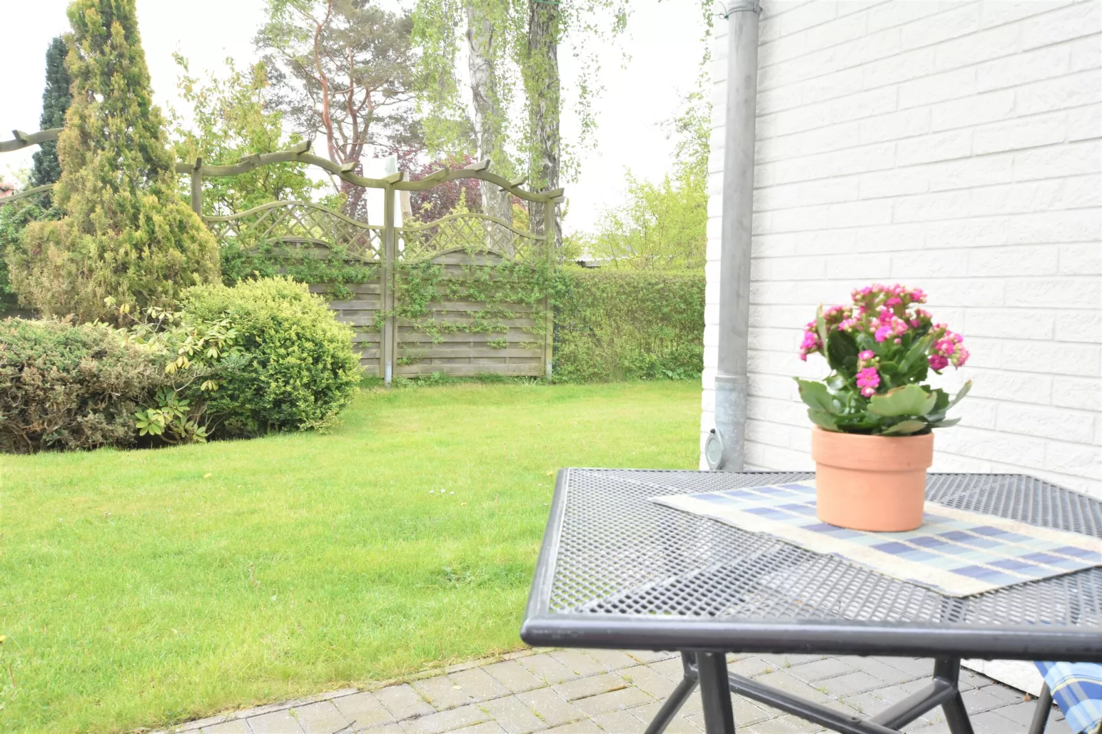 Die weiße Villa XL-Tuinen zomer