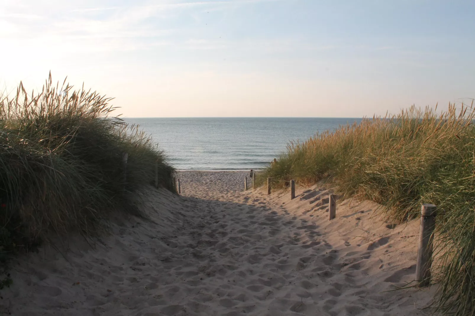 Arko 4  am feinsandigen Strand-Gebieden zomer 5km