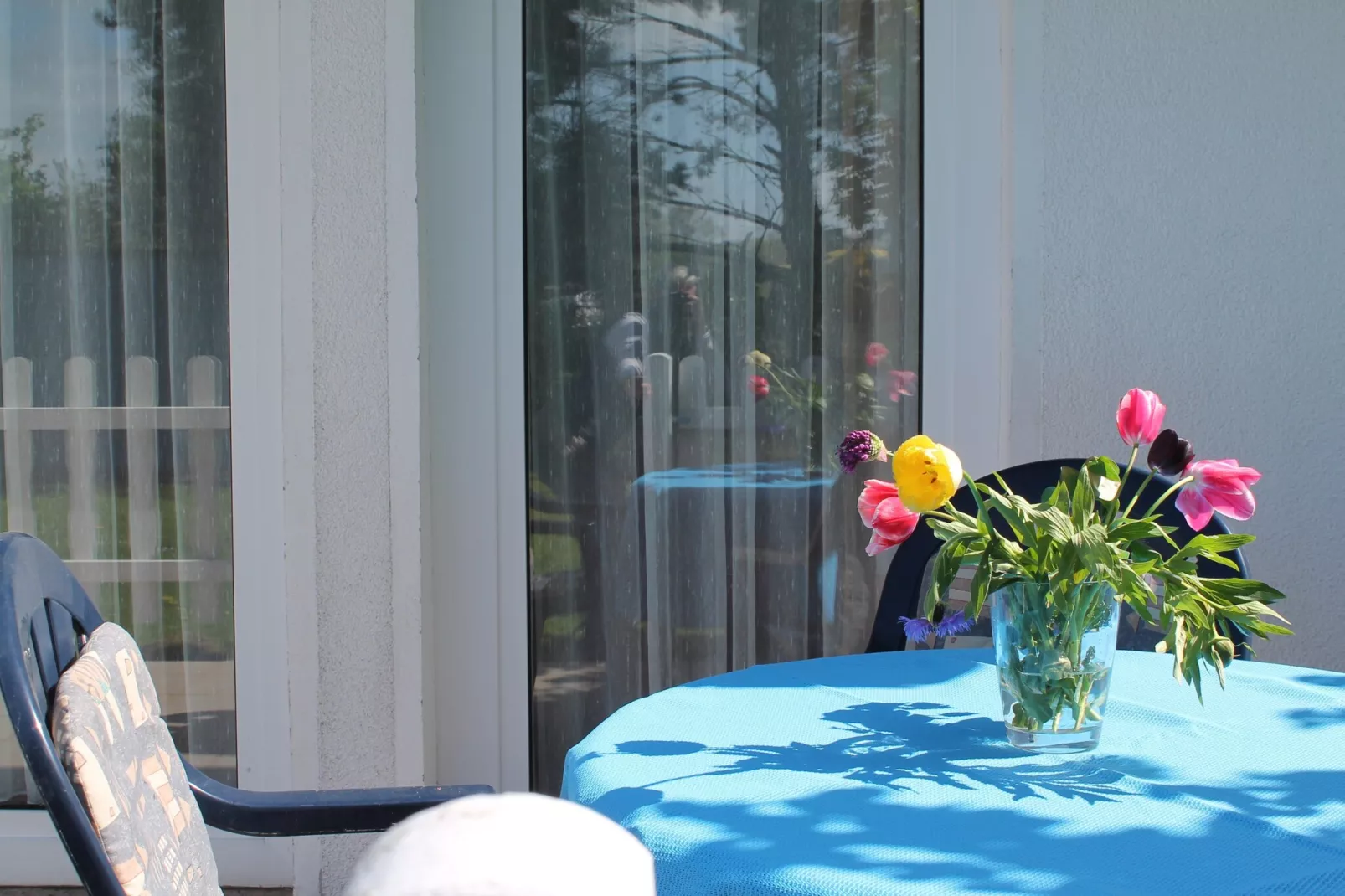 Das DarßHaus mit Kamin und Garten-Terrasbalkon
