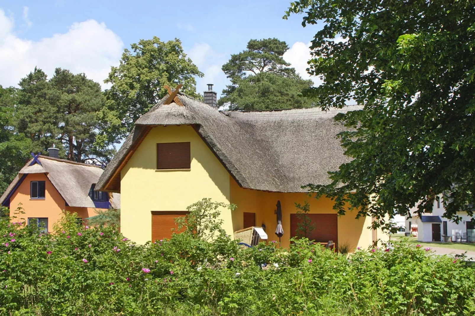 Villa Froschkönig