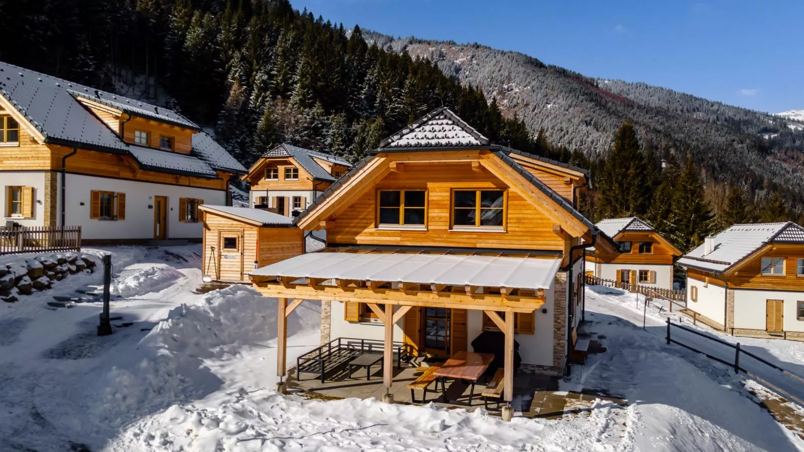 Ferienhaus Erna-Exterieur winter