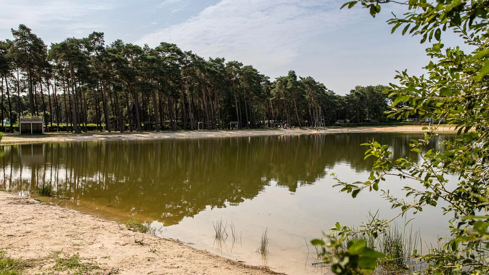 Veldzicht-Gebieden zomer 1km