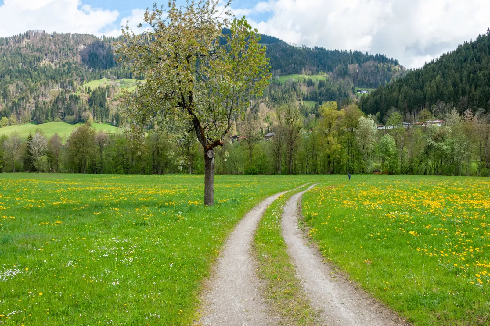 Residenz Edelalm Penthouse-Gebieden zomer 5km