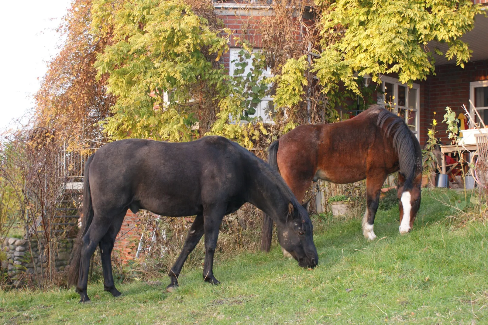 Romantisches Landhaus mit Kamin-Sfeer