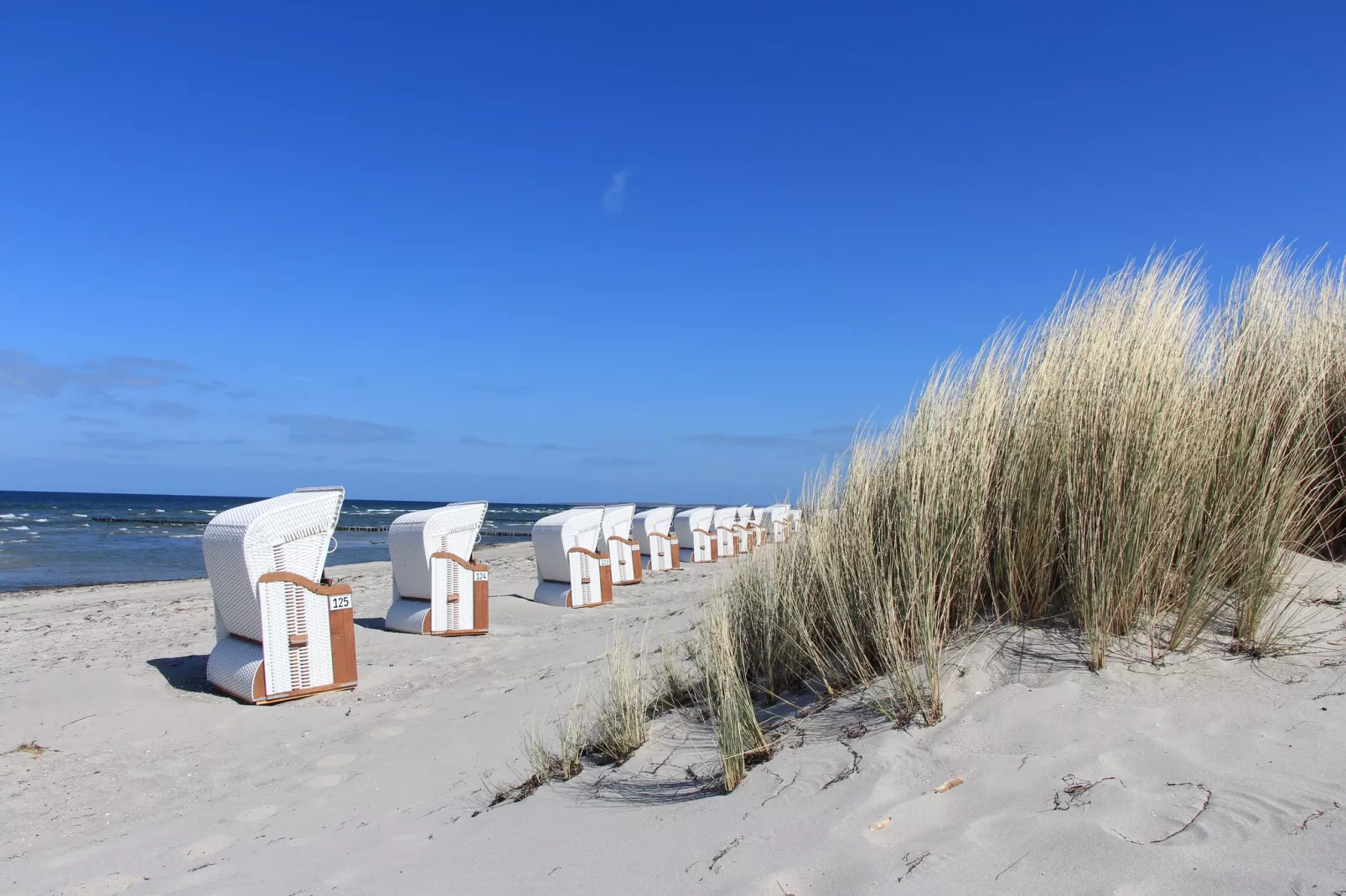 Ferienwohnung Insel Poel 22-Gebieden zomer 1km