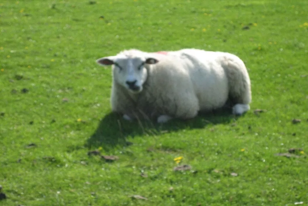 143630-Niet-getagd