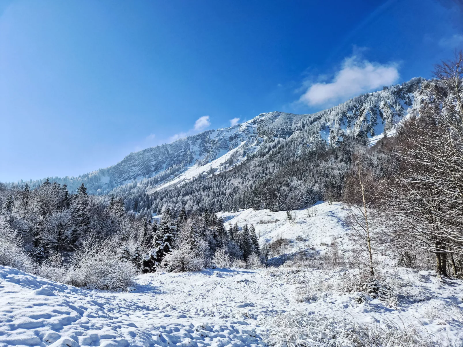 Tiny-Haus Glockenalm-Alpenchalet Elli-Buiten