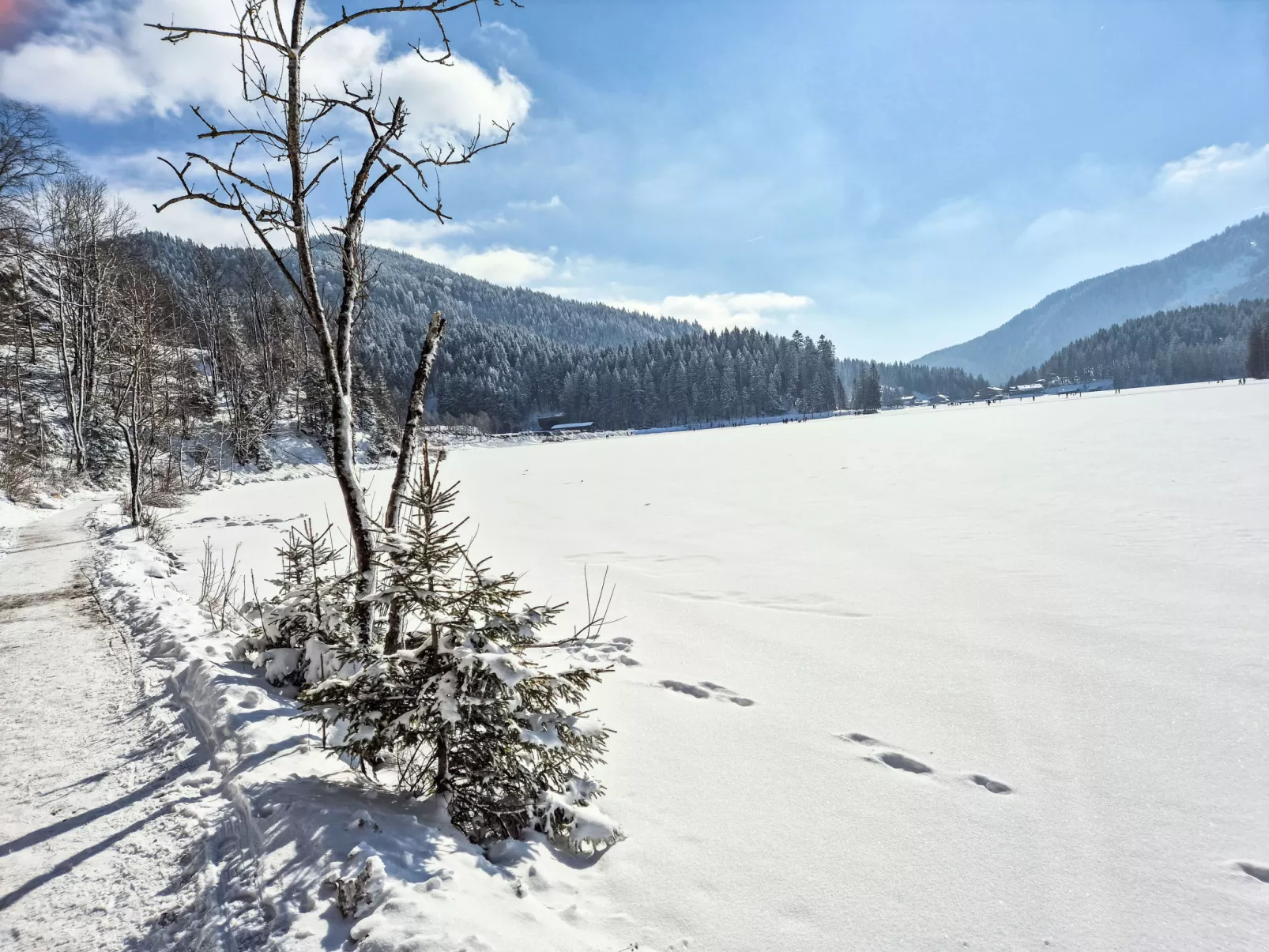 Tiny-Haus Glockenalm-Alpenchalet Elli-Buiten