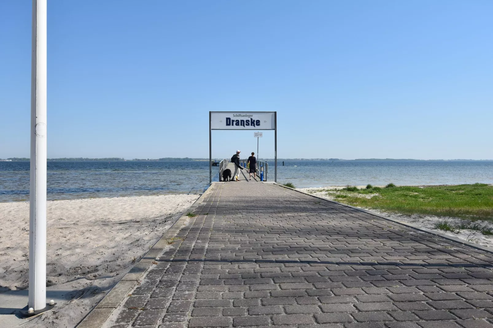 Uferschwalbe 3-Gebieden zomer 5km