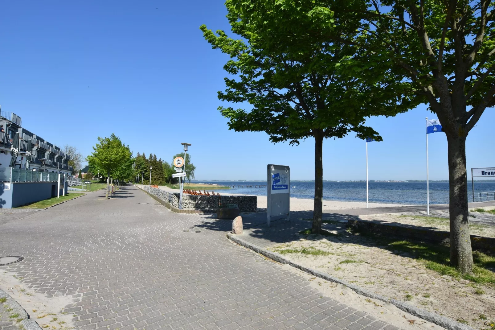 Lachmöwe 2-Gebieden zomer 5km