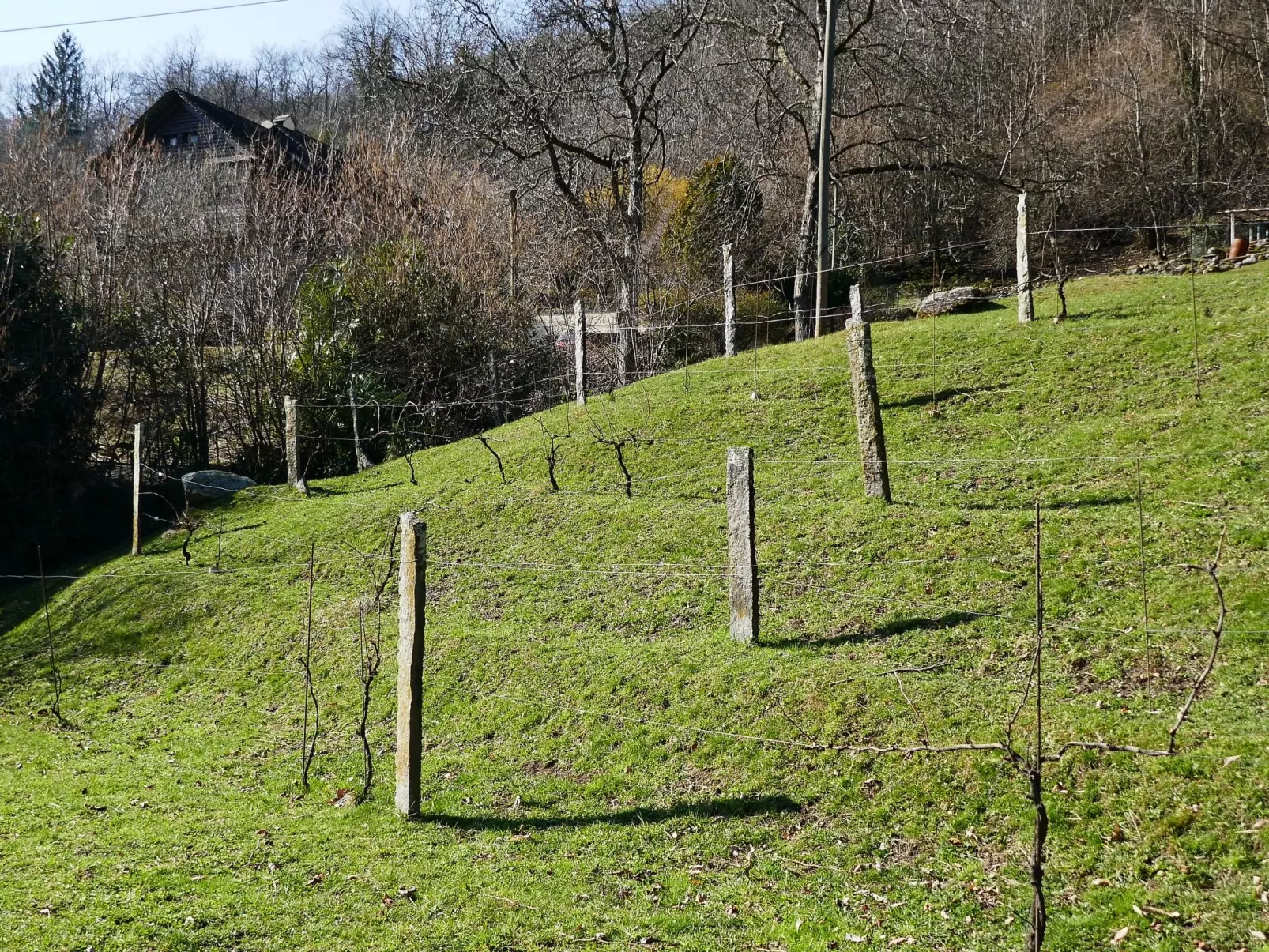 Casa Jolli-Buiten