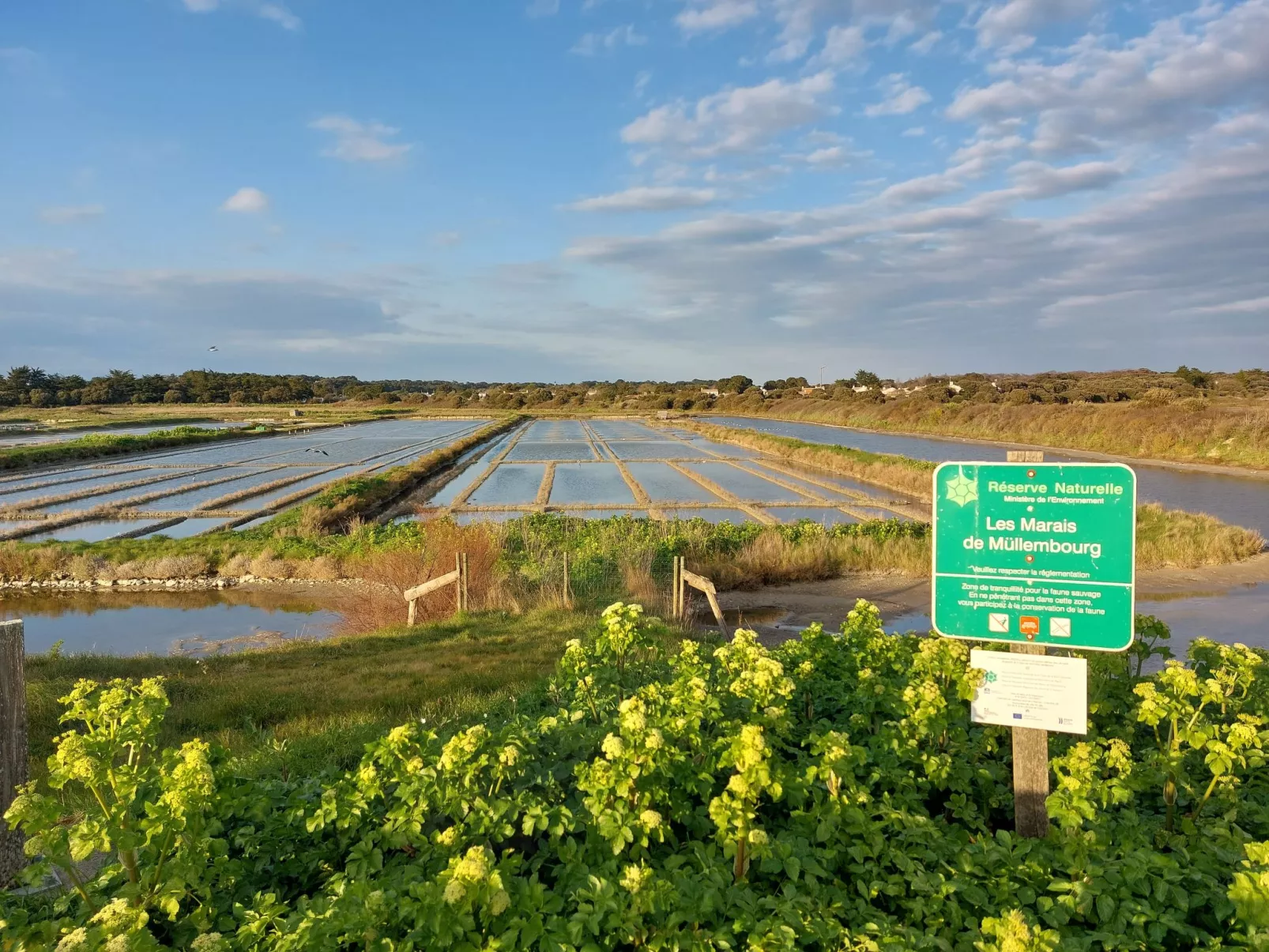 Le Domaine des Pins-Omgeving
