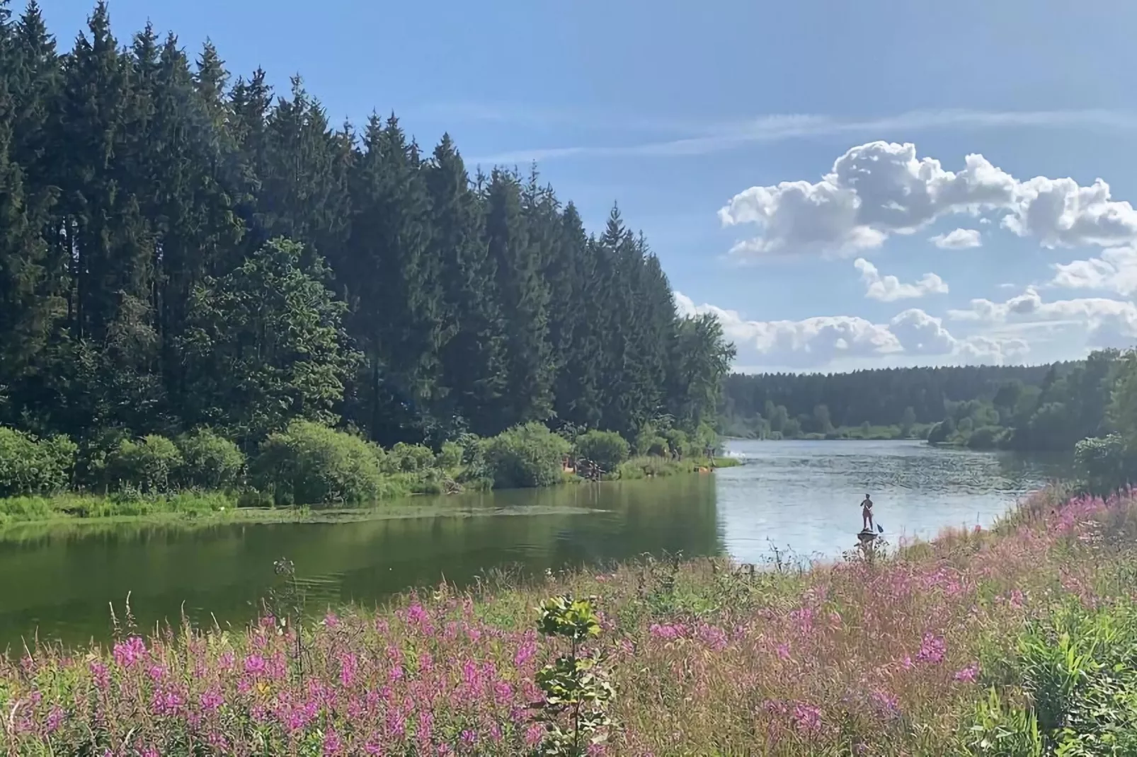 Haus Hunnenberg-Gebieden zomer 5km