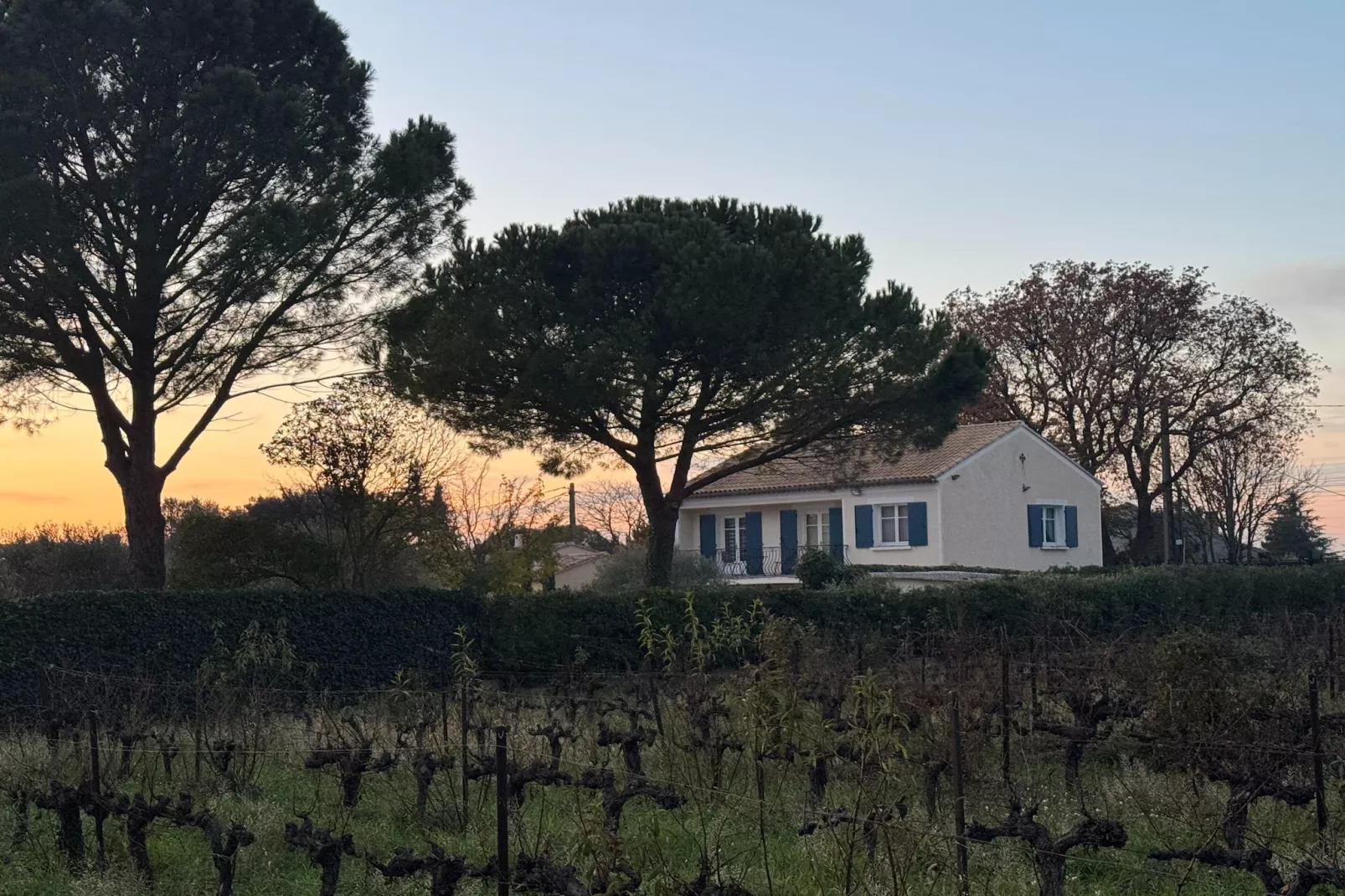 Villa Carpentras-Buitenkant zomer