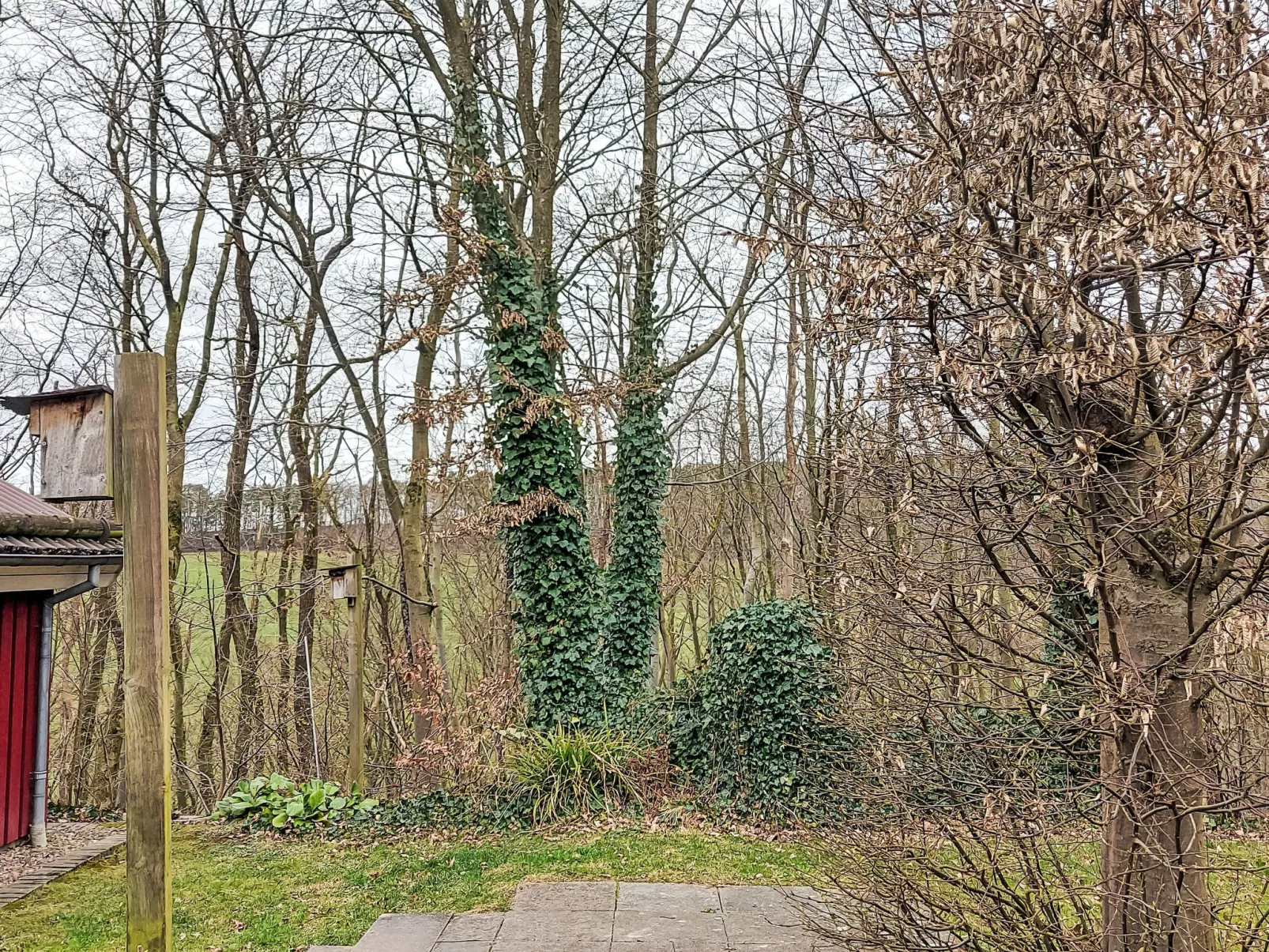 Haus am Wald-Buiten