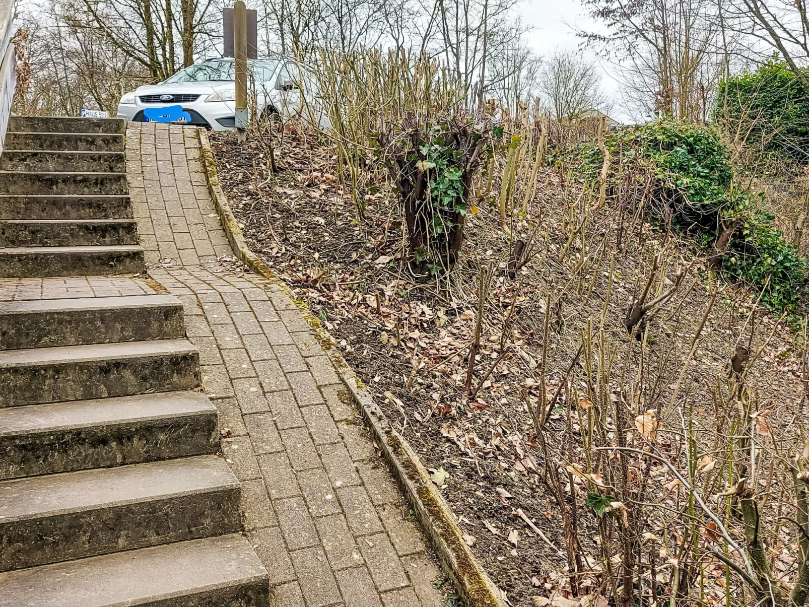 Haus am Wald-Buiten