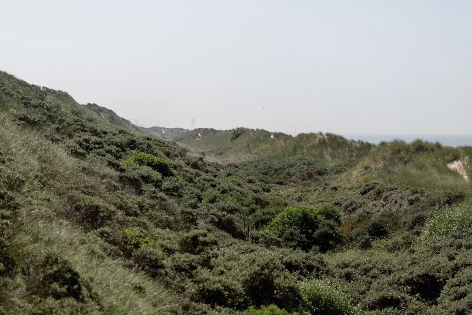 Residentie Sun Beach 0502-Gebieden zomer 5km