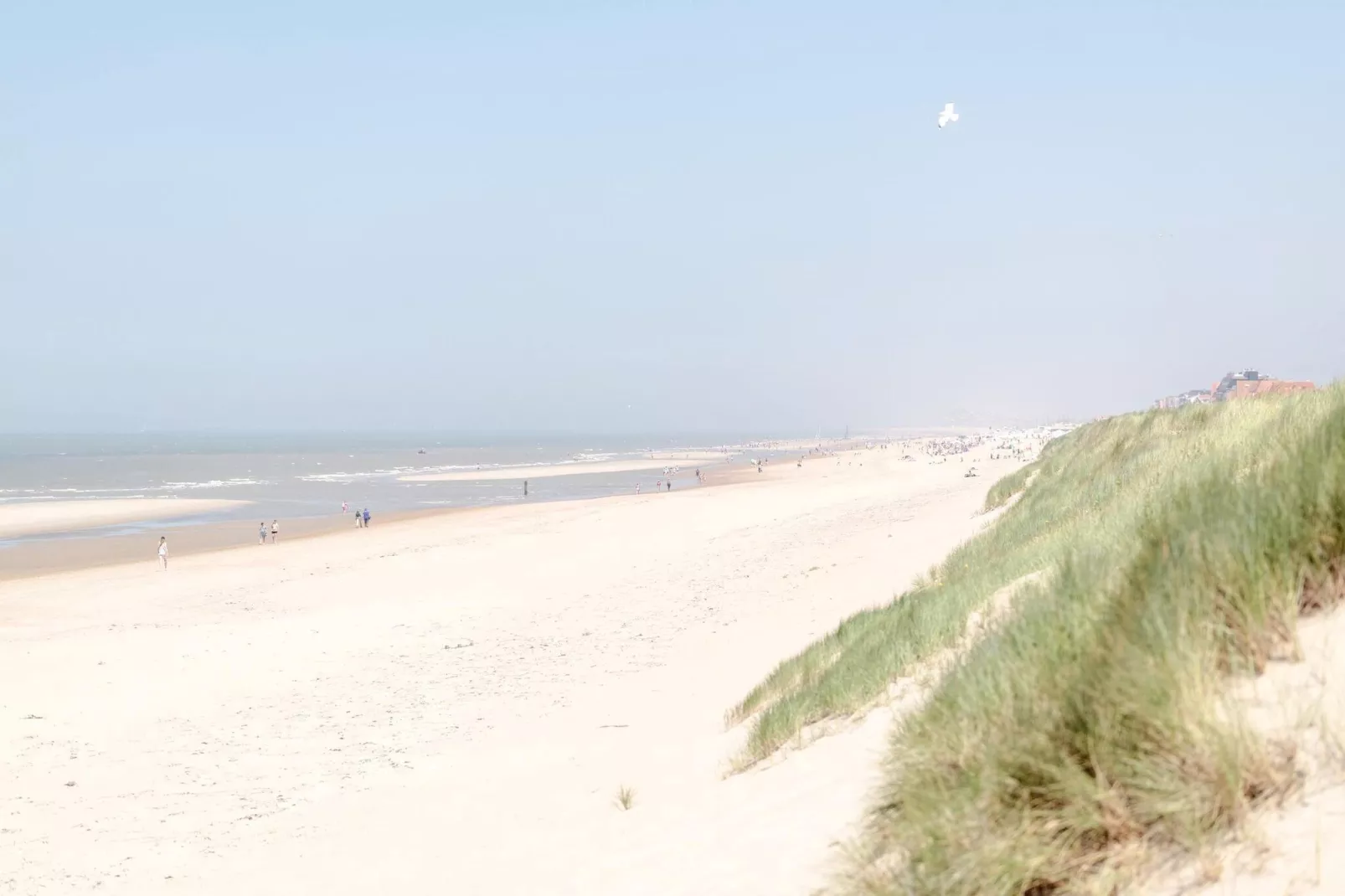 Residentie Les Bruyères 0501-Gebieden zomer 5km