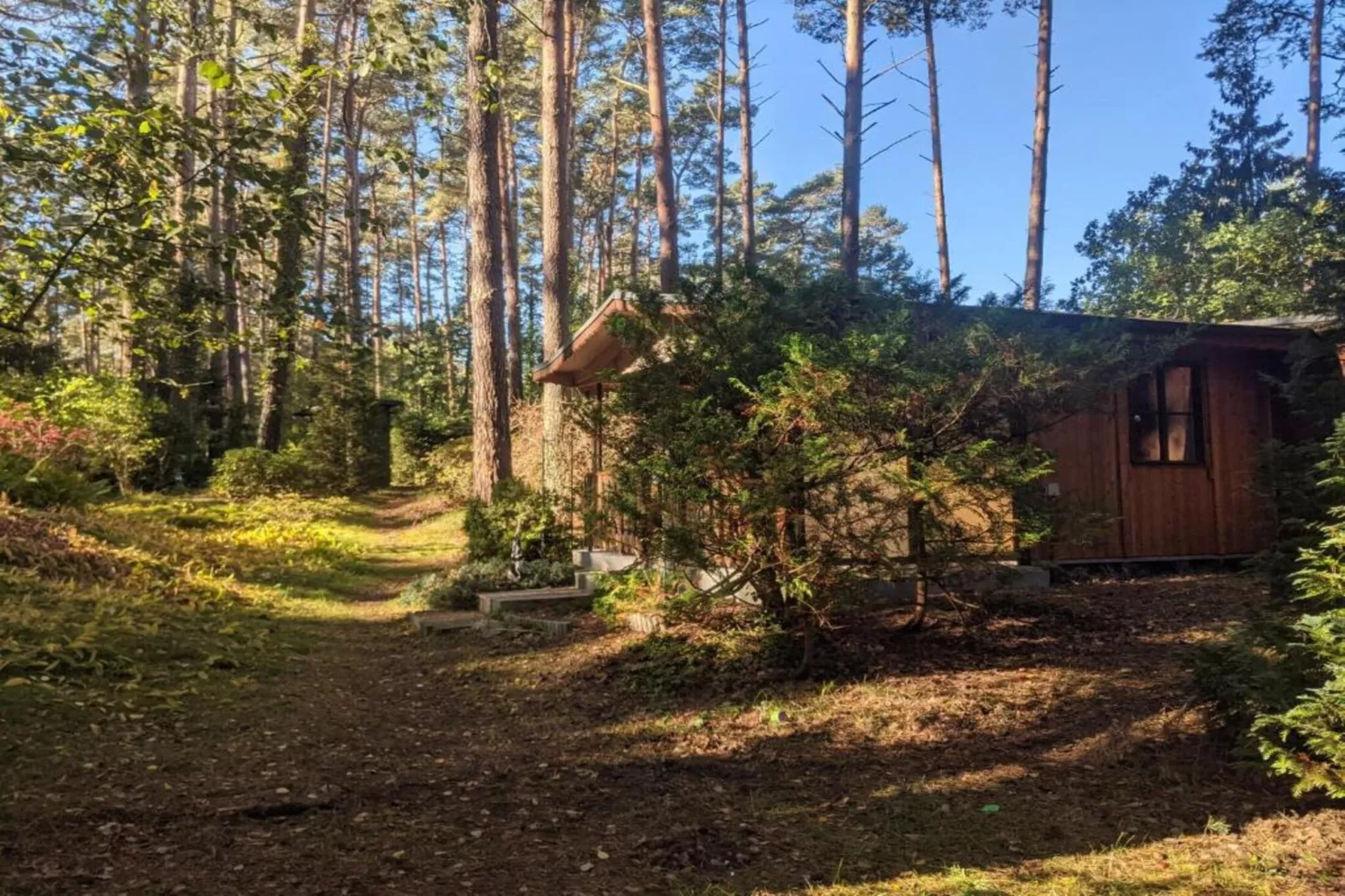 Bungalow 47 qm 4 Pers-Gebieden zomer 1km