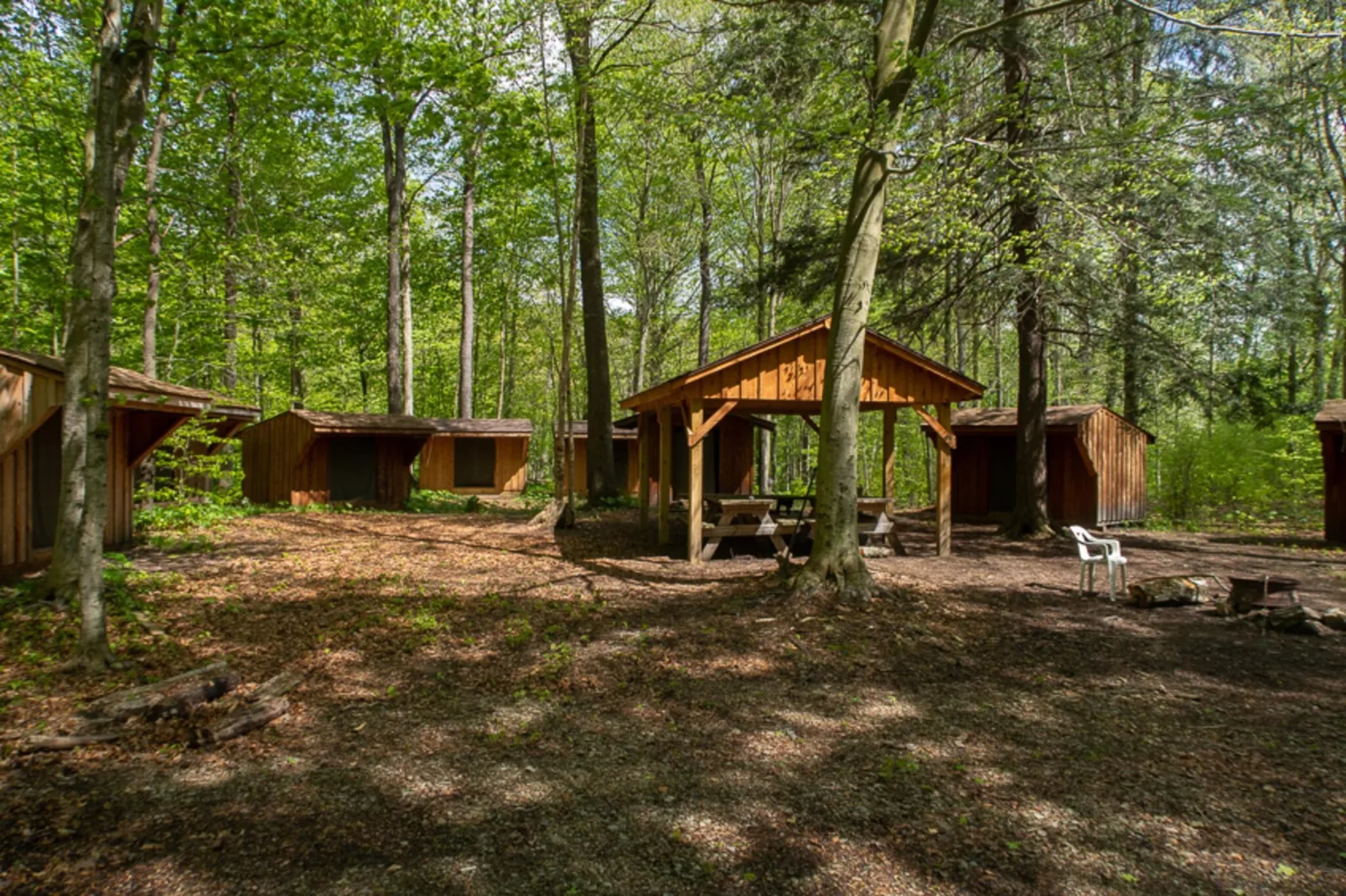 Bungalow 47 qm 4 Pers-Gebieden zomer 5km