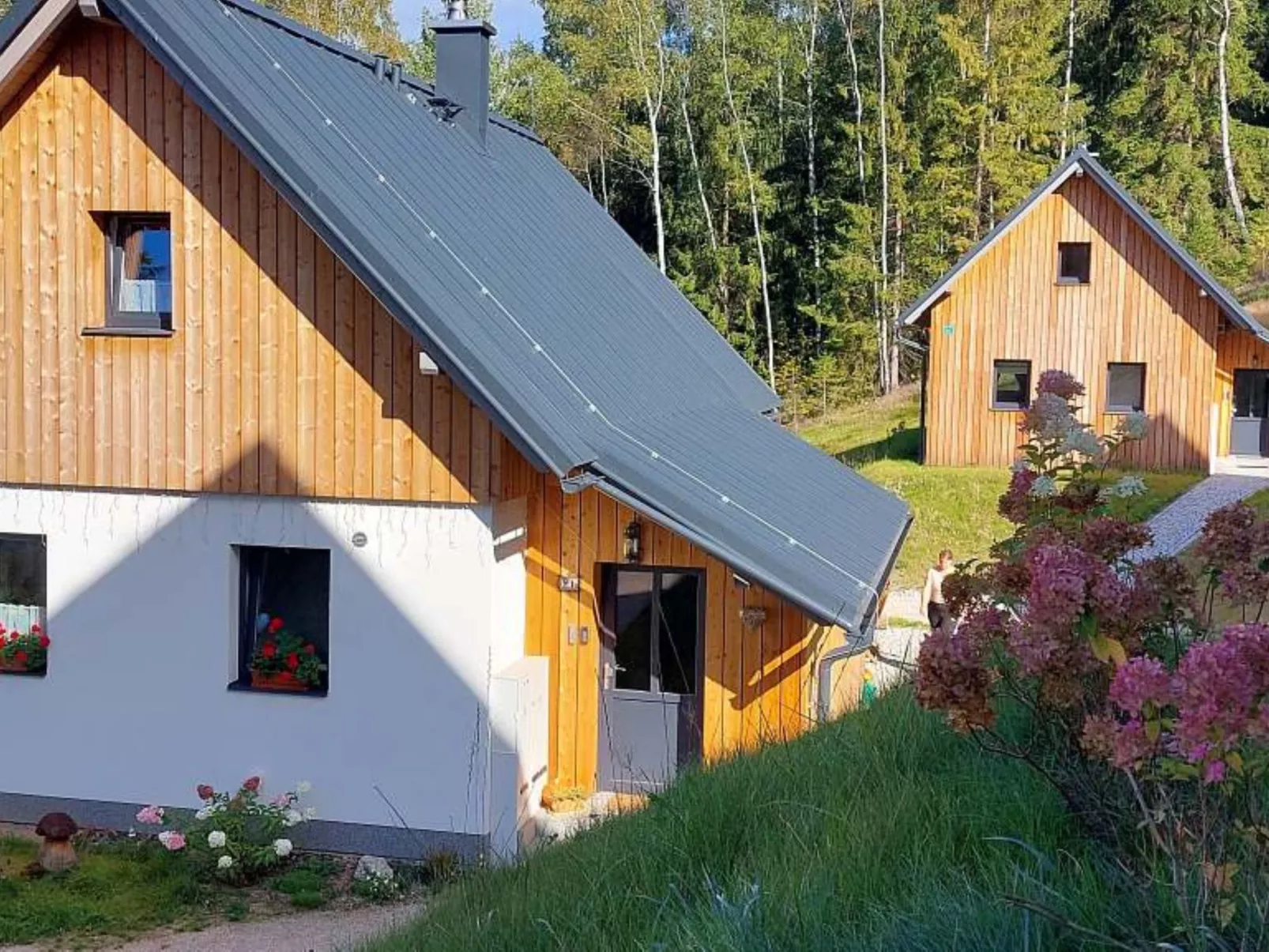 Jelení kout-Omgeving