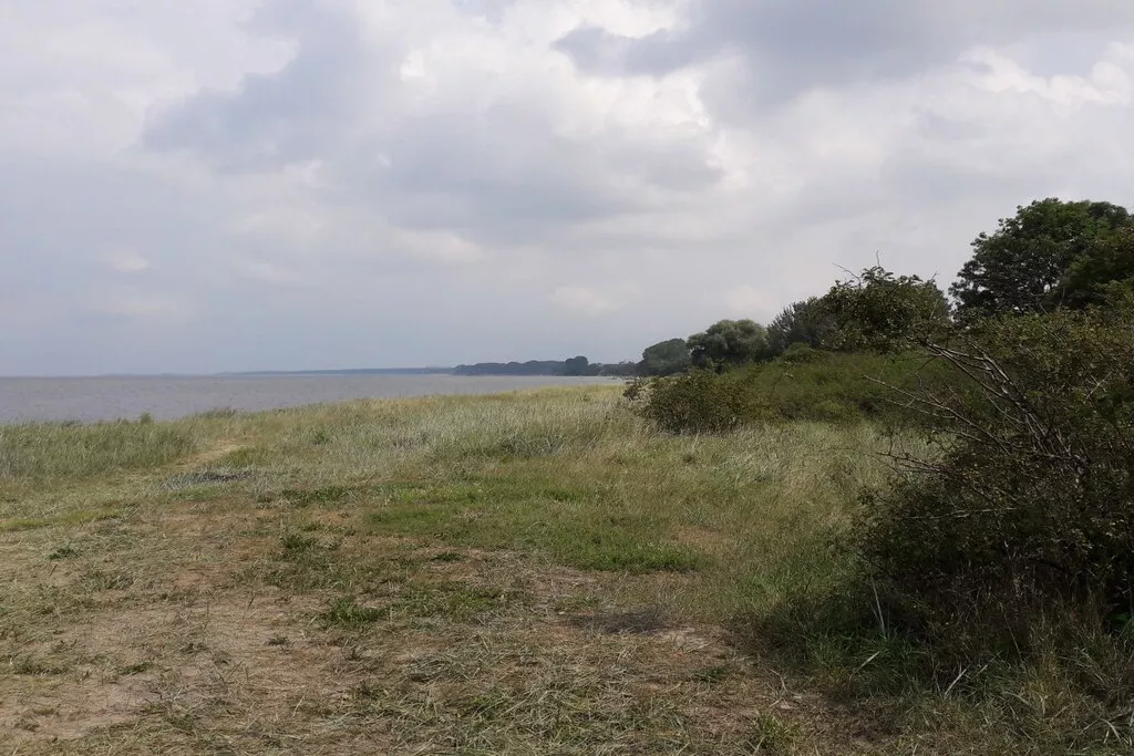 142565-Niet-getagd