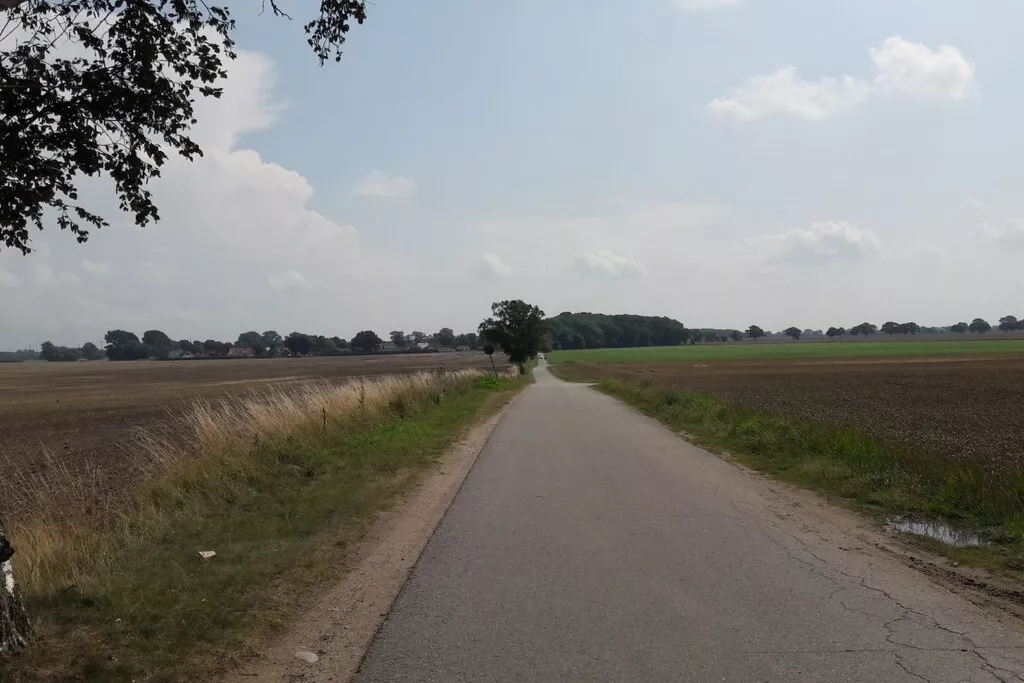 142565-Niet-getagd
