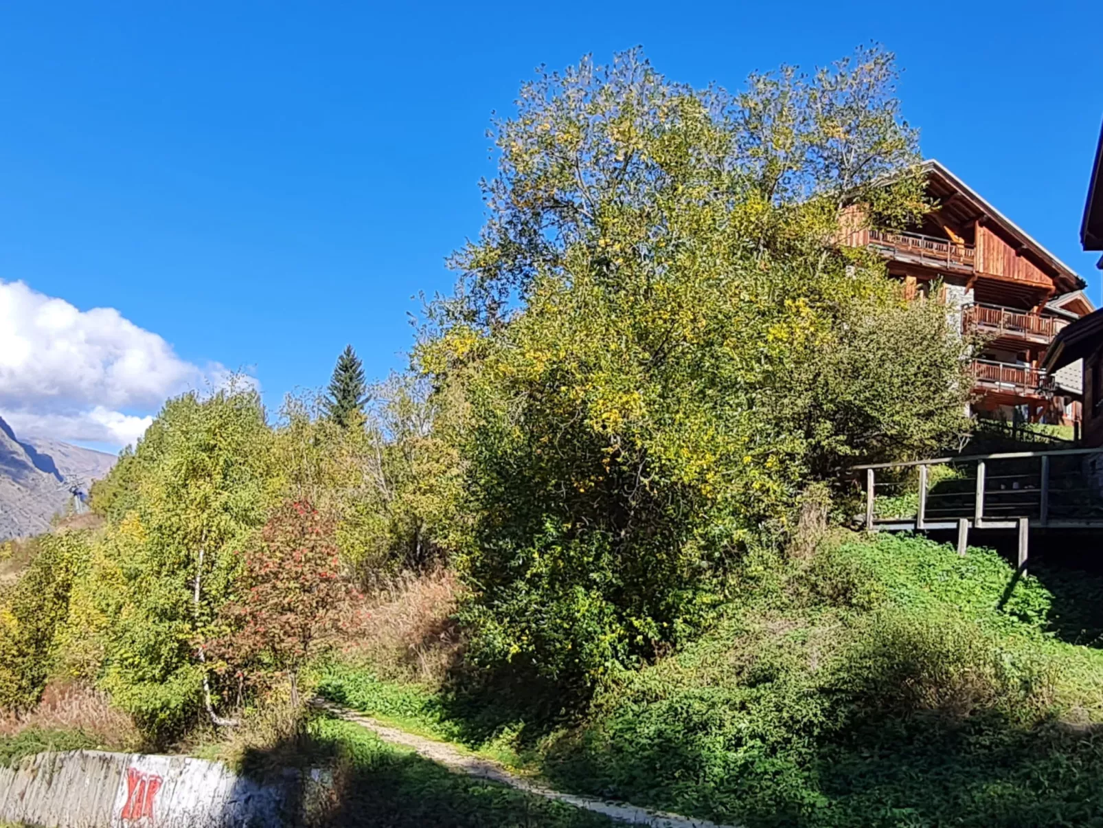 Chalet Coop-Buiten
