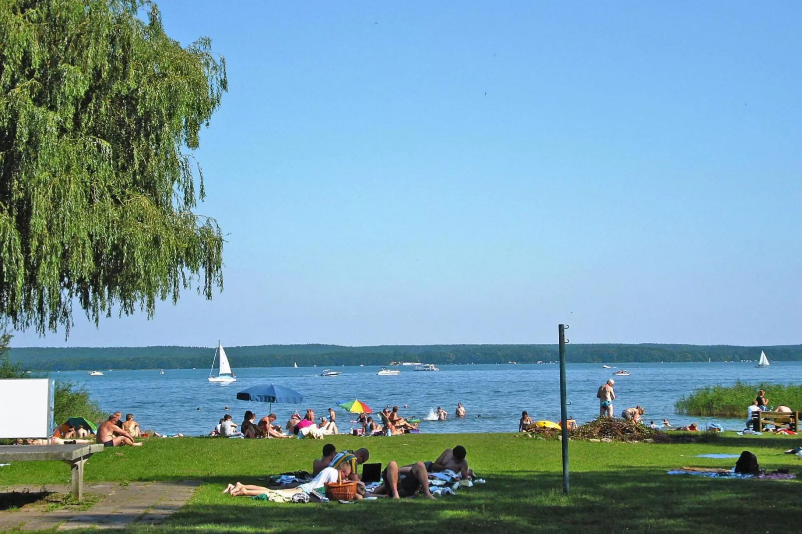 DHH 40 qm-Gebieden zomer 5km