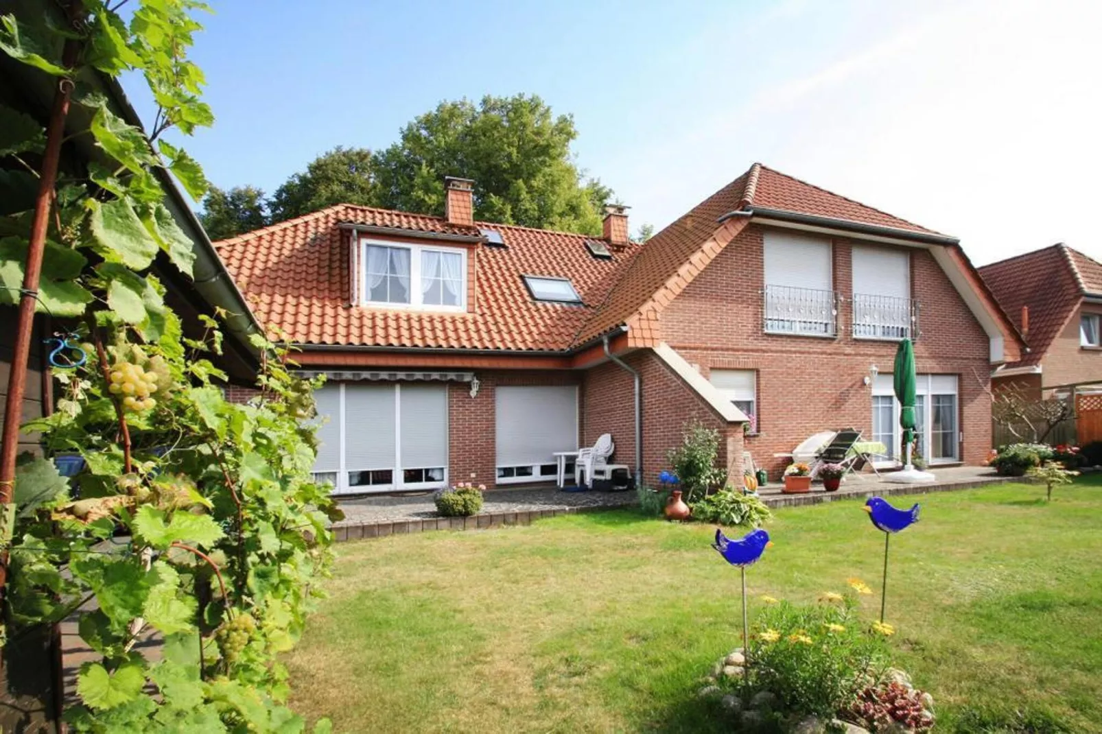 Fewo 1 65 qm-Buitenkant zomer