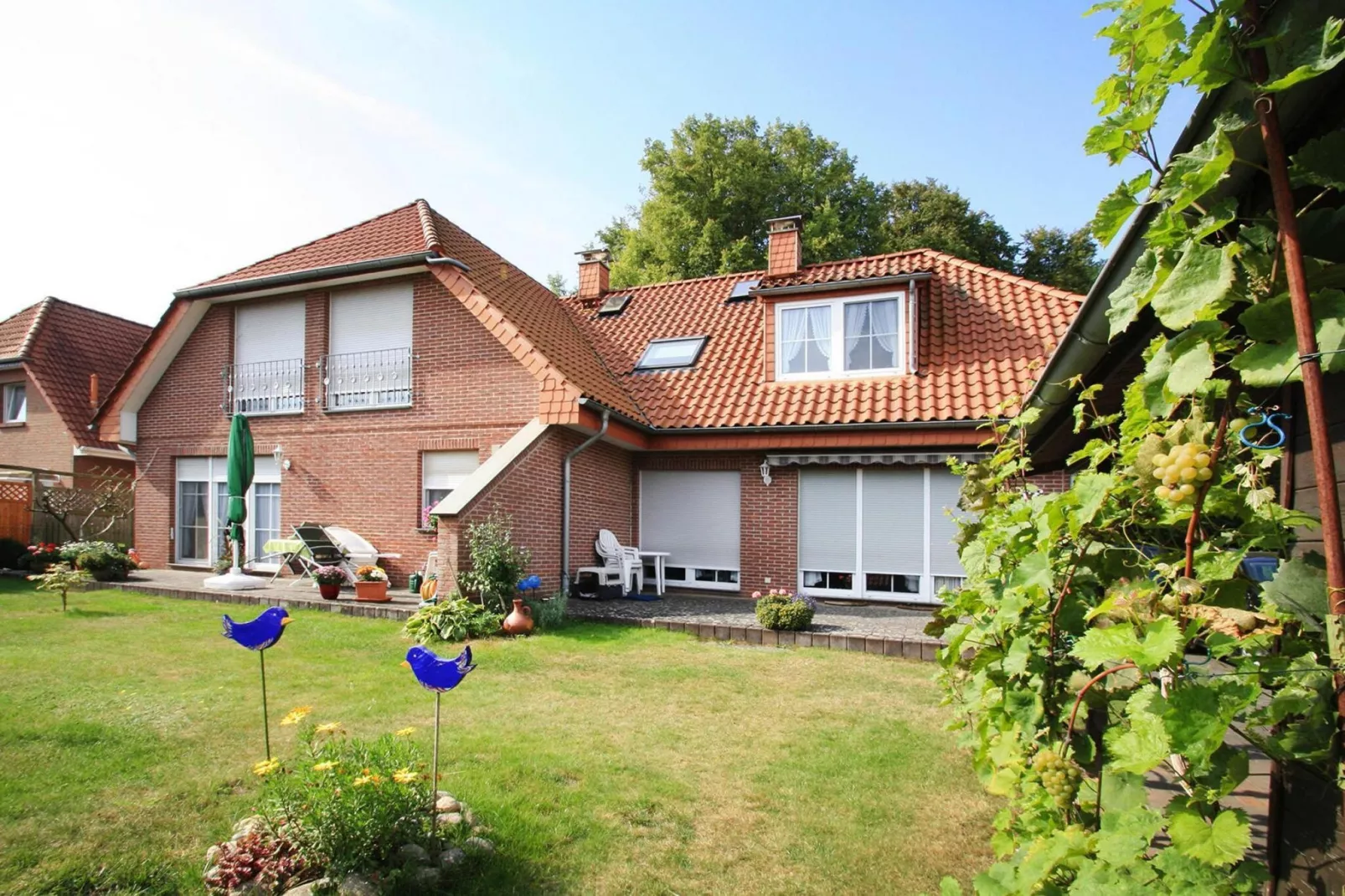 Fewo 2 60 qm-Buitenkant zomer