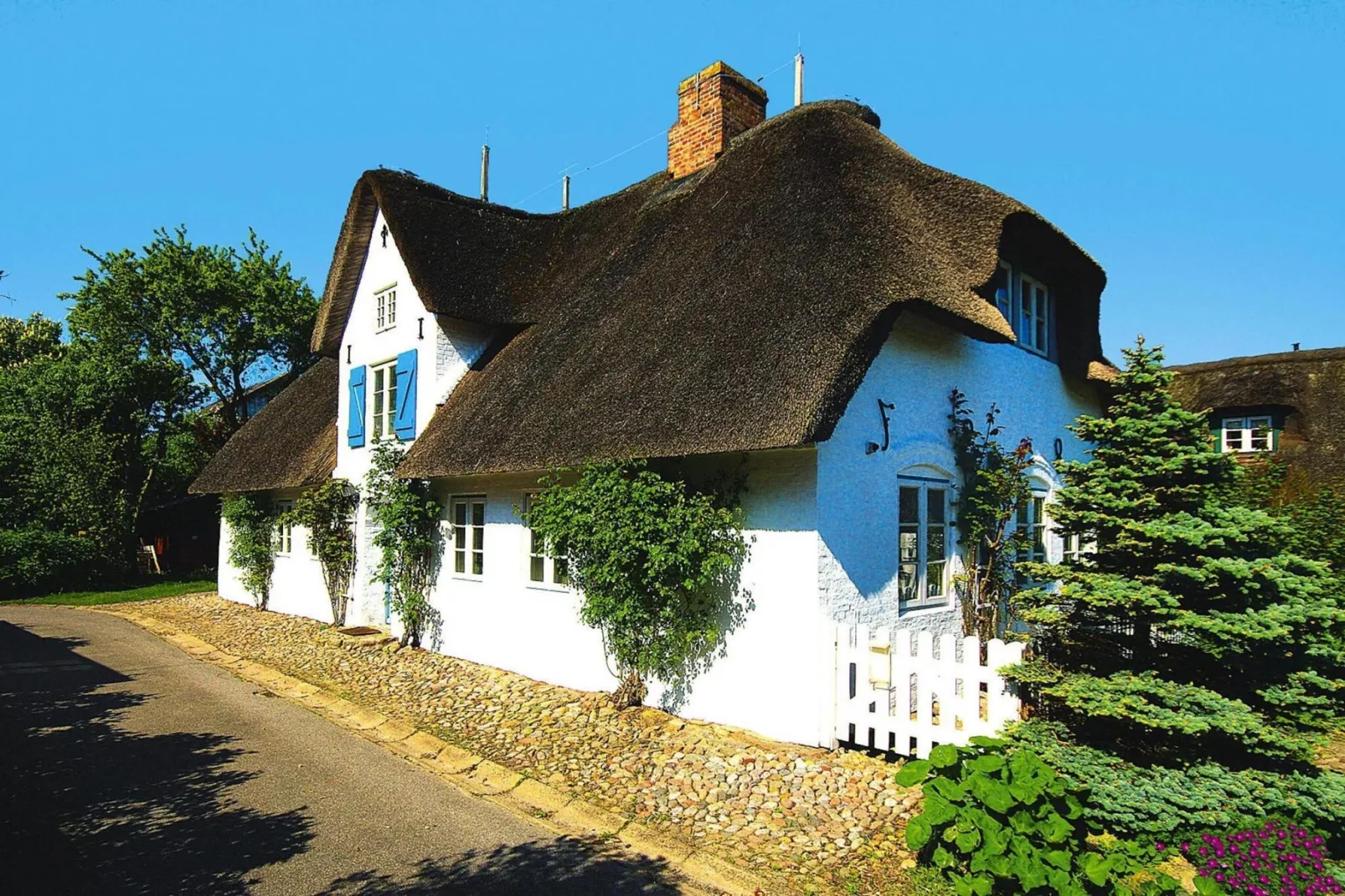 Doppelhaus in Oldsum - Haus 2-Buitenkant zomer