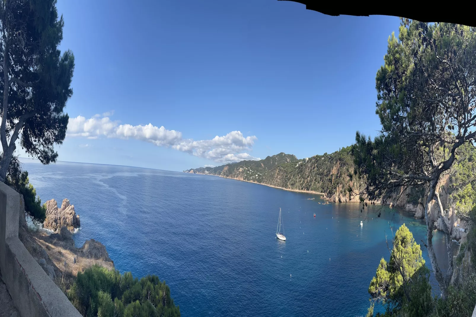 Montecarlo-Gebieden zomer 1km