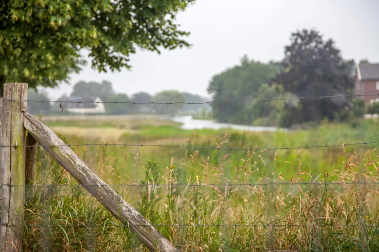 Vakantiehuis De Vlonder-Uitzicht zomer