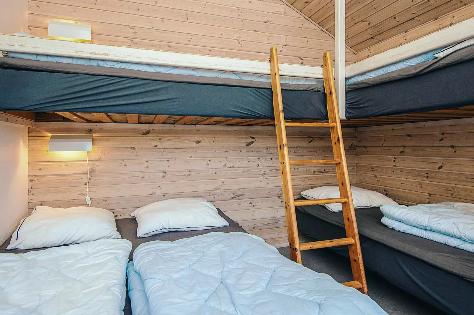 Standardhytte til 5 personer25m²-Binnen