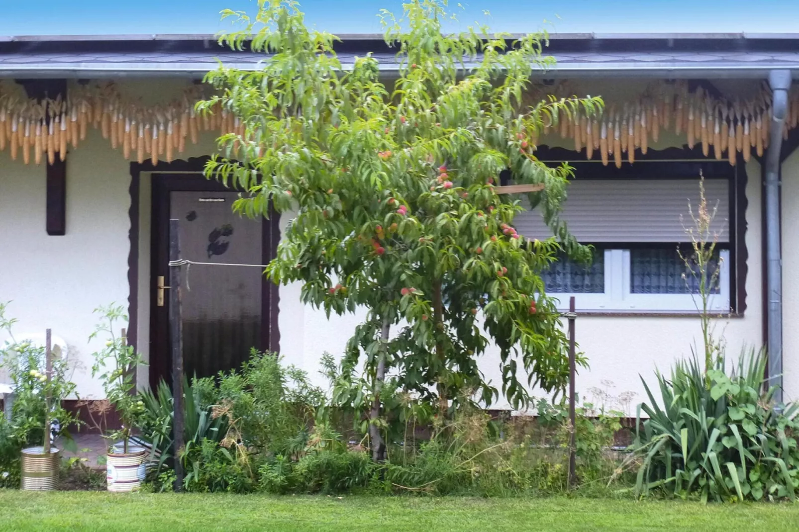 Reihenbungalow an einem Spreearm-Buitenkant zomer