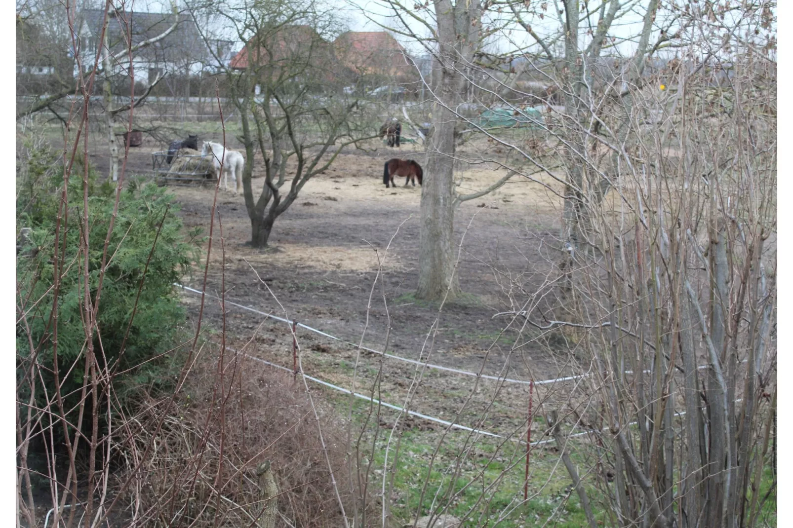 Harderhof 1-Gebied winter 1km