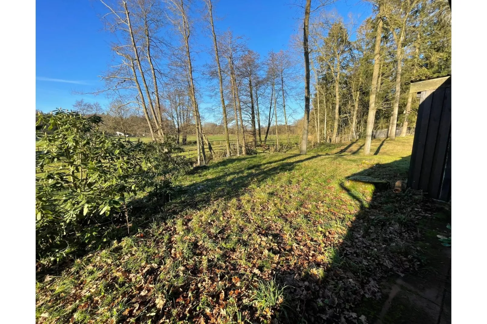 Waldzauber-Uitzicht winter