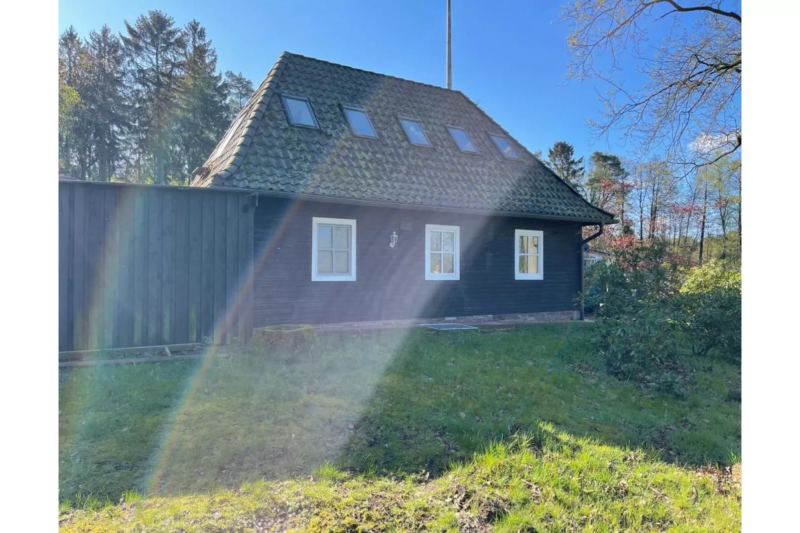 Zauberwald-Exterieur winter