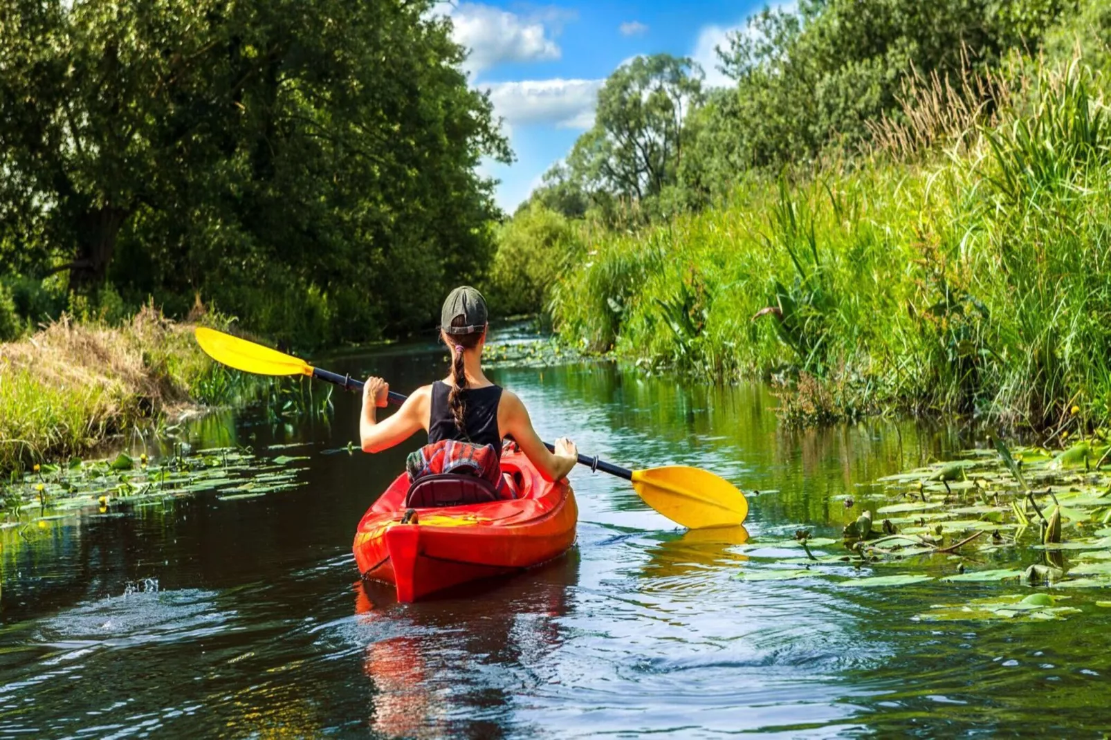 Löwenzahn 118 qm 1-9 Personen-Gebieden zomer 1km