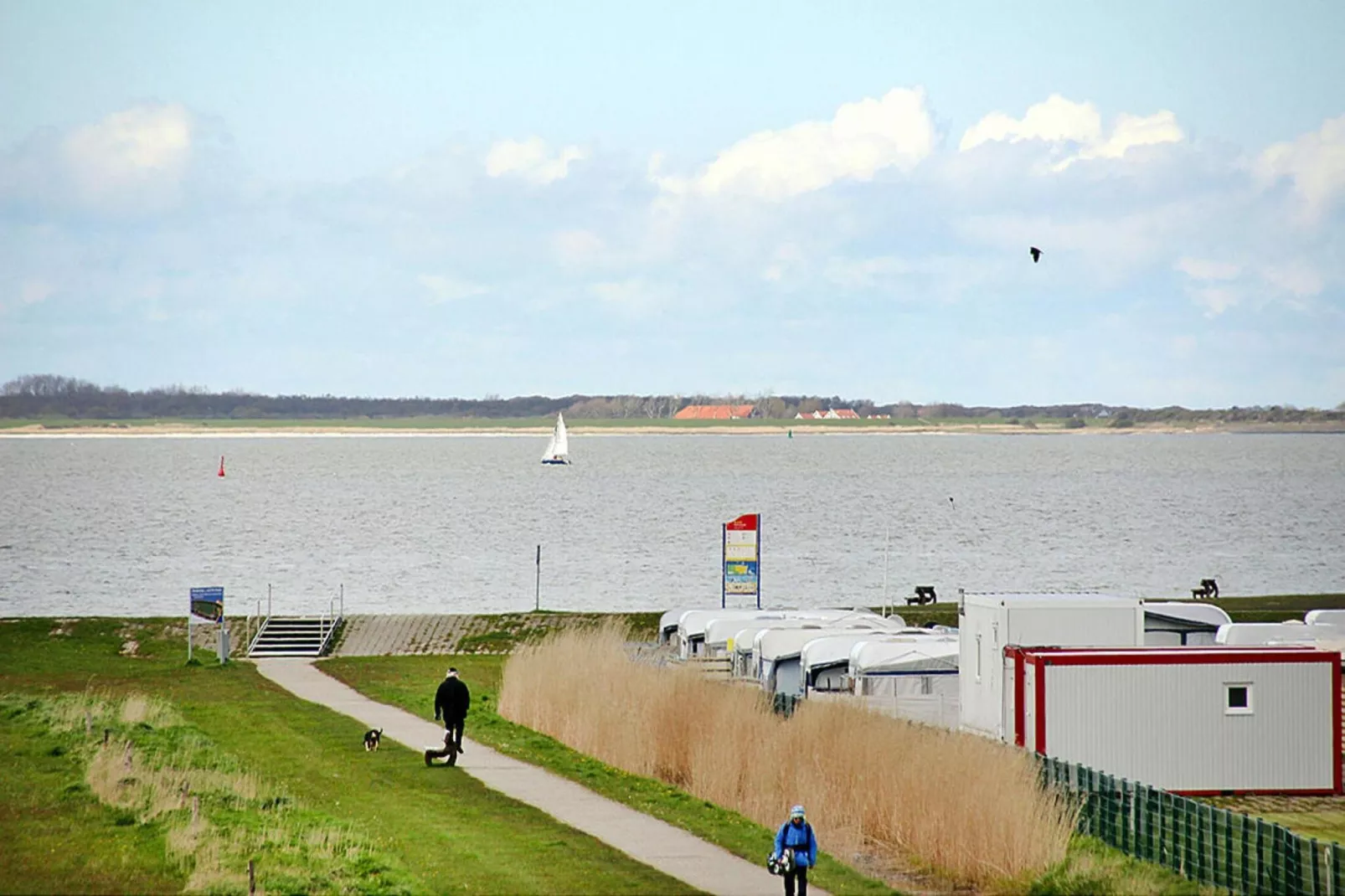 Ferienbungalow Kabeljau-Gebieden zomer 1km